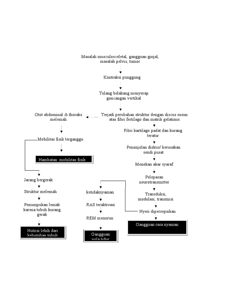 Pathway LBP | PDF