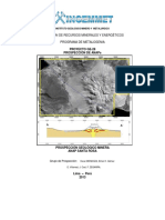 INFORME FINAL ANAP SANTA ROSA