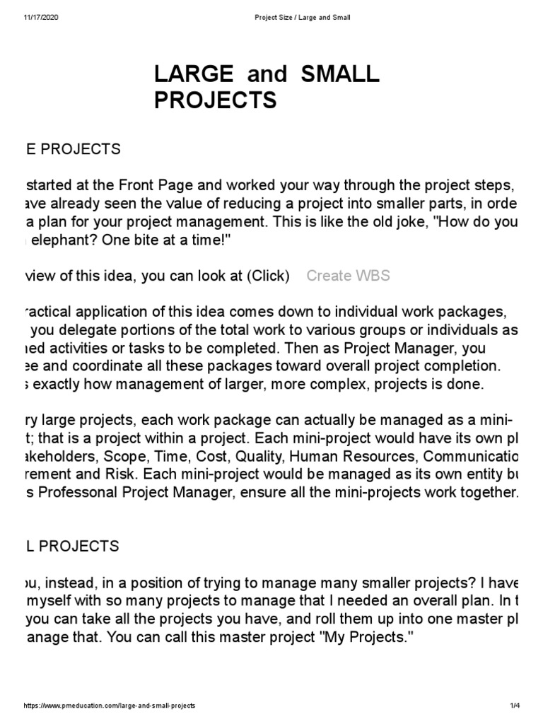 Managing Large and Small Projects | PDF | Project Management | Economies