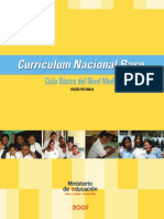 CNB- CICLO- BÁSICO.pdf
