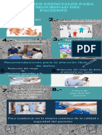 Acciones Esenciales para La Seguridad Del Paciente PDF