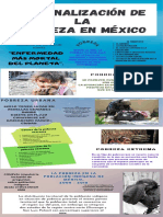 Infog. REGIONALIZACIÓN DE LA POBREZA EN MÉXICO 