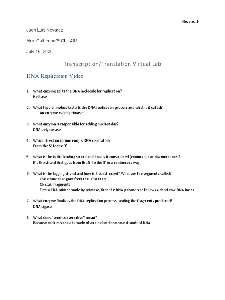 Transcription and Translation Lab Guide | PDF | Dna Replication | Rna