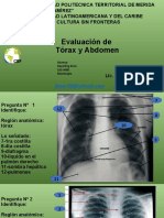 1era Evaluacion IER