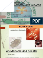 Ancylostoma and Necator Fatima PDF