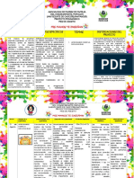 Planeacion de Discapacidad 21 de Agosto PDF