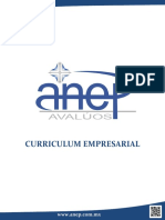 Curriculum Empresarial Anep - Fa PDF