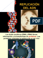 REPLICACION ADN