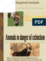 animale in pericol