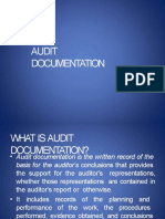 Audit Documentation