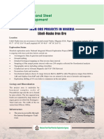 Tajimi Iron Ore Project Location and Geology