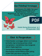 5. Anatomi dan Fisiologi serangga