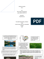 inforgrafia marcos