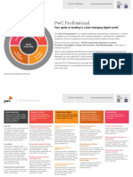 PWC Professional Framework PDF