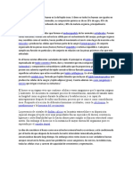 La Constitución General Del Hueso Es La Del Tejido Óseo