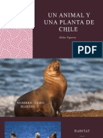 Un Animal y Una Planta de Chile