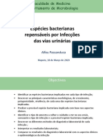 Estudo-Infeccoes Bacterianas Infeccoes Urinarias-1