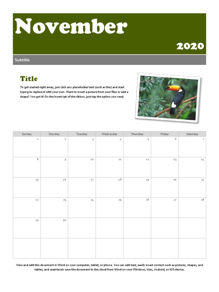 November 2020 Editable Calendar Template | PDF