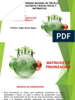 Matriz de Priorizacion