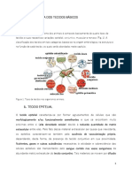 Tecidos Epitelial e Conjuntivo PDF