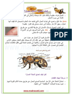 كيف تصنع النحلة العسل و فوائد العسل madrassatii com PDF