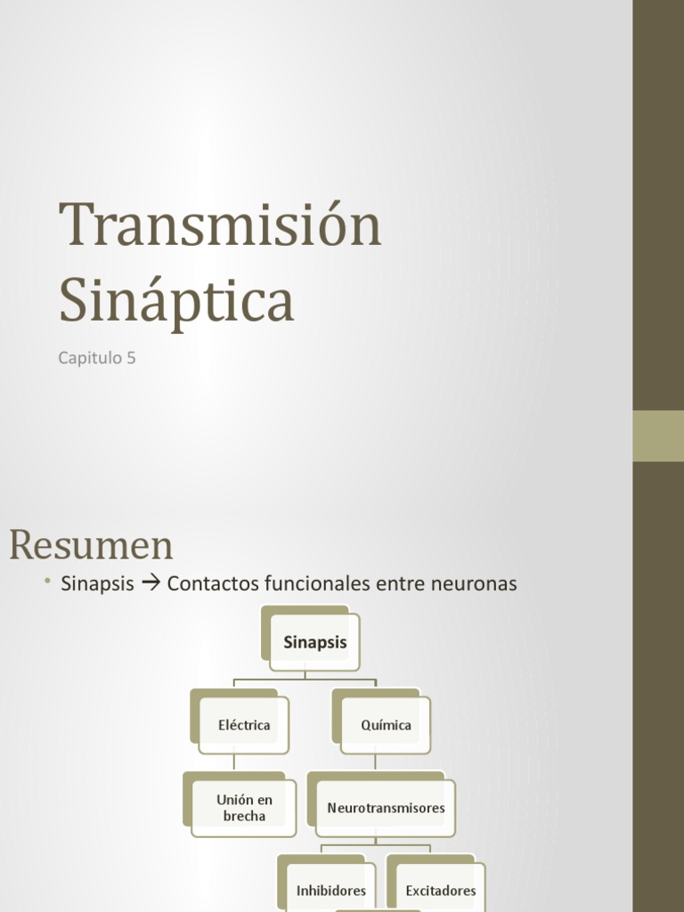 Sinapsis: Tipos y Mecanismos | PDF | Canal de iones | Sinapsis
