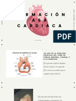 Formacion Asa Cardiaca