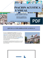 Contaminacion Acostica y Visual