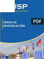 2019 USP Lineas de investigacion.pdf