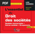 L'essentiel Du Droit Des Sociétés 2016 (PDFDrive) PDF