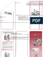 FOLLETO PROYECCIÓN DE PARTICULAS