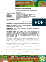 Aguacate Caracteristicas Descriptivas 1 PDF