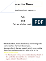 Connective Tissue: Cells and Extra-Cellular Matrix
