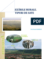 asezarile_rurale.pptx