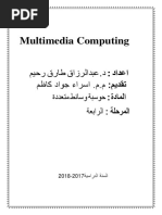 MultiMedia Computing 1