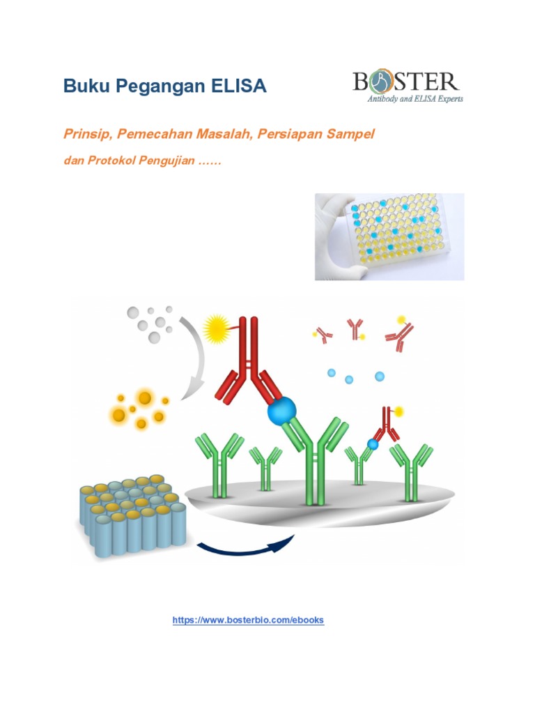 Panduan Lengkap Prosedur ELISA | PDF