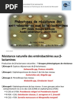 Phénotypes-de-résistance-chez-les-Entérobactéries-2019