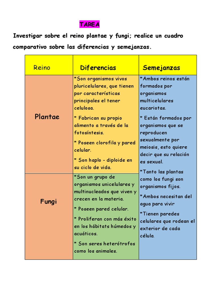 CCNN Reino Plantae y Fungi Cuadro Comparativo | PDF
