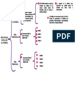 CuadroSinoptico1 Familia