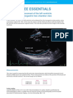 Fact Sheet 15 - Transgastric Two-Chamber View