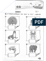 二年级科学 动物是如何繁殖的