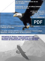 Aguila Pps