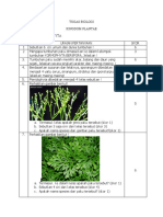 Pteridophyta X Mipa 8