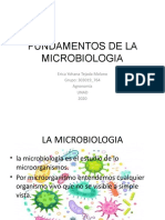 Microbiologia Fase-1