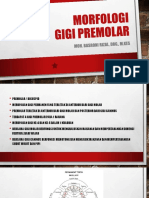 Morfologi Gigi Premolar PDF