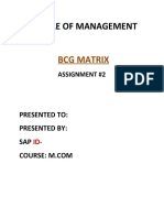 BCG Matrix Assignment-2