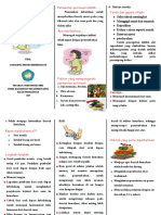 Leaflet Perawatan Luka Perineum Fix