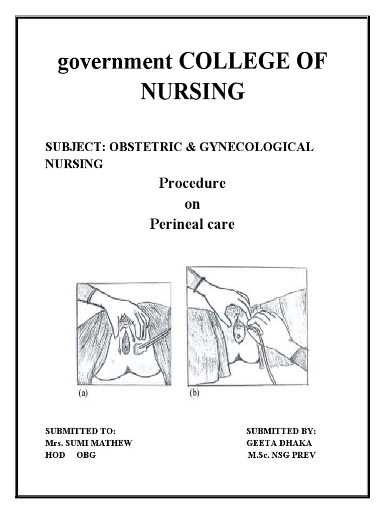 Perineal Care Procedure PDF Medical Specialties Medicine