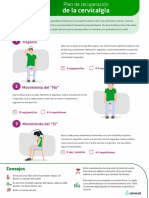 Hidroxil Plan de Recuperación de La Cervicalgia PDF