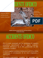 Accidente Ofidico